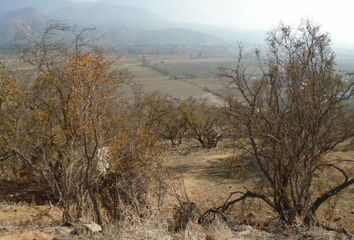 Parcela en  Los Maquis, Curacaví, Chile