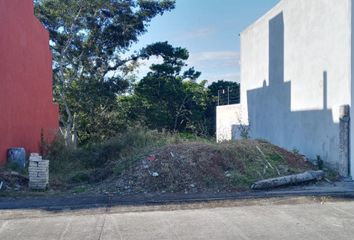 Lote de Terreno en  Coatepec Centro, Coatepec, Veracruz