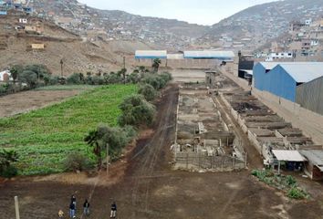 Terreno en  Asoc San Juan Pampa La Coronela, Puente Piedra, Perú