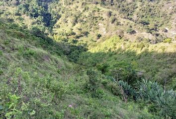 Villa-Quinta en  San Pedro, Valle Del Cauca, Colombia