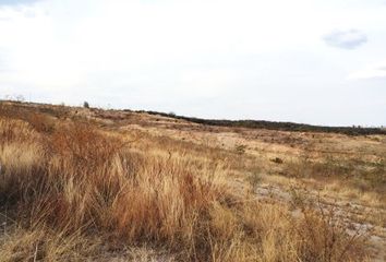 Lote de Terreno en  Parque Lomas Del Marques, Irapuato, Guanajuato, Irapuato, Guanajuato, México