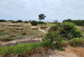 Terreno en  San Andres, Pisco, Perú