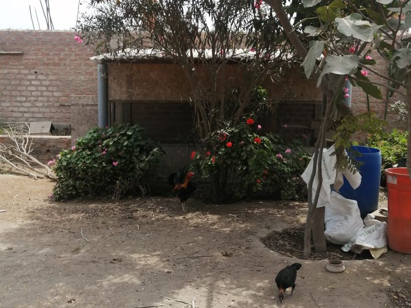 Casa en venta Jirón Castilla, Lurín, Perú