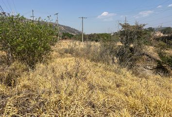 Lote de Terreno en  Centro, Ixtlán Del Río