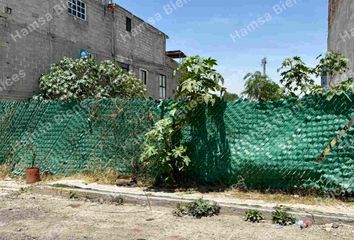 Lote de Terreno en  Calle Pinos, San Mateo Ixtacalco, Cuautitlán Izcalli, México, 54713, Mex