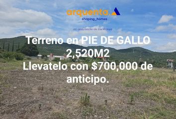 Lote de Terreno en  Pie De Gallo, Querétaro, México