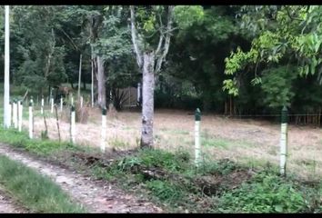 Lote de Terreno en  Urbanización Hacienda Calambeo, Ibague