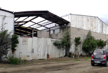 Nave en  De La Llama 9-3, Parque Industrial, 52300 Tenango De Arista, Méx., México