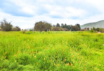 Parcela en  Campo Lindo, Curacavi, Curacaví, Chile