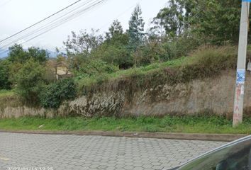 Terreno Comercial en  Calle De Las Golondrinas, Tumbaco, Quito, Ecu