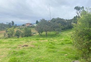 Terreno Comercial en  5483+88v, Pedregal De La Comunidad De Zumbahuayco, Ecuador