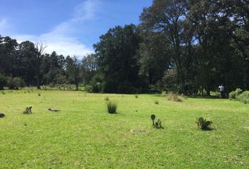 Lote de Terreno en  Monte Quieto, Estado De Hidalgo, México