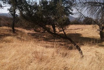 Lote de Terreno en  Ixtacuixtla De Mariano Matamoros, Tlaxcala