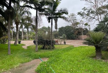 Terreno en  Avenue Paul Poblet, Pachacamac, Lima, 15823, Per