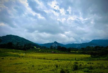 Lote de Terreno en  Carretera Del Fresno-temascaltepec, San Gaspar, Valle De Bravo, México, 51238, Mex