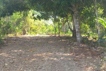 Terreno en  San Antonio De Cumbaza, Perú