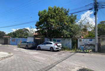 Terreno Comercial en  Carlos Andrade Marin, Puembo, Ecuador