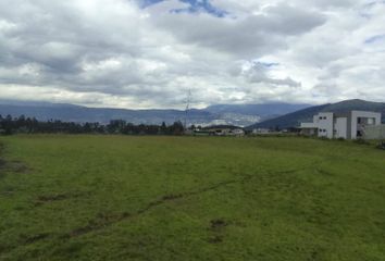 Terreno Comercial en  Alangasí, Quito