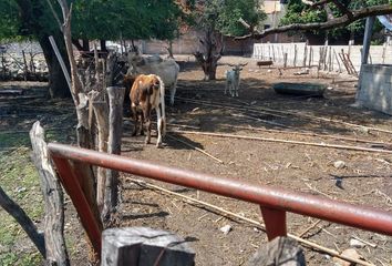 Lote de Terreno en  Pinturas Tetecala, Juárez, Centro, Tetecala, Morelos, México