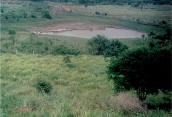 Lote de Terreno en  Ixtapa, Zihuatanejo, Zihuatanejo De Azueta