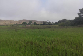 Terreno en  Cerro Azul, Cañete