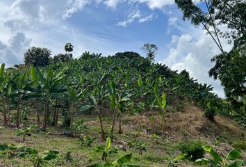 Villa-Quinta en  Caicedonia, Valle Del Cauca, Colombia