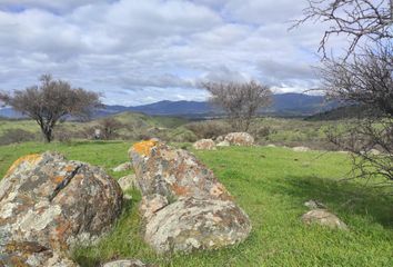 Parcela en  Hualañé, Curicó