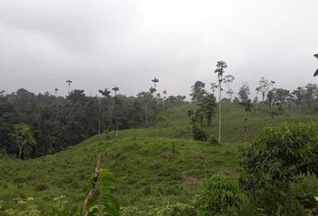 Terreno Comercial en  Puerto Quito, Ecuador