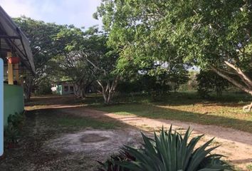 Lote de Terreno en  Uman, Hunxectamán, Yucatán, México