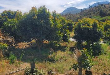 Rancho en  Zacapu, Michoacán, México