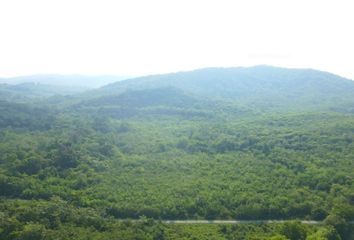 Lote de Terreno en  Tampamolon Corona, San Luis Potosí, México