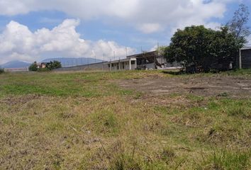 Terreno Comercial en  Calderón, Quito, Ecuador