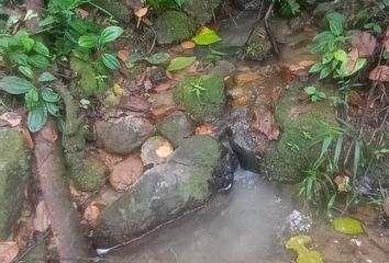 Terreno en  San Roque De Cumbaza, Perú