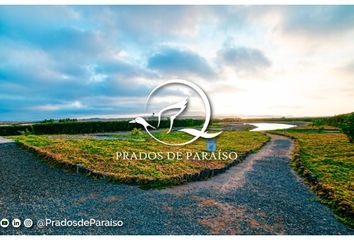 Terreno en  Prados De Paraíso, Autopista Panamericana Norte, Huacho, Perú