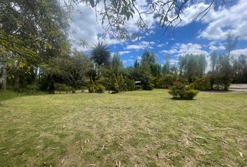 Terreno Comercial en  Puembo, Ecuador