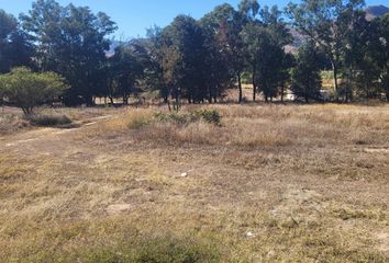 Lote de Terreno en  Los Molinos, Zapopan, Jalisco