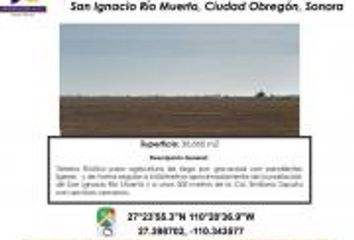 Lote de Terreno en  85519, Bahía De Lobos, Sonora, Mex