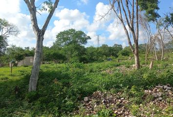 Lote de Terreno en  Umán, Yucatán, México