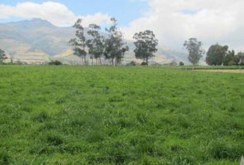 Hacienda-Quinta en  Machachi, Ecuador