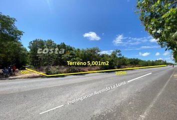 Lote de Terreno en  Calle Oyamel, Fraccionamiento Ampliación Álamos, Benito Juárez, Quintana Roo, 77533, Mex