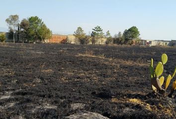 Lote de Terreno en  Delegación Santa Cruz Atzcapotzaltongo, Toluca De Lerdo, Estado De México, México