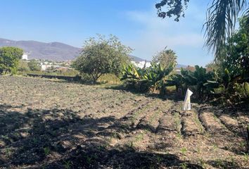 Lote de Terreno en  De Los Reyes, Las Animas, Temixco, Morelos, México
