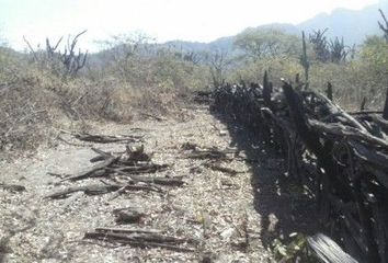 Terreno en  Chulucanas, Morropon