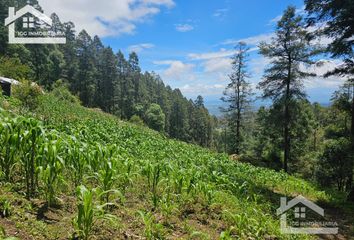 Lote de Terreno en  Mineral Del Chico, Hidalgo, Mex