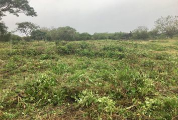 Lote de Terreno en  Amapolas Ii, Veracruz, México