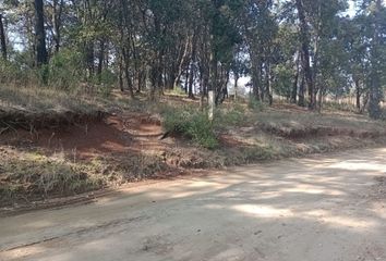 Lote de Terreno en  Loma De Trojes, Estado De México, México