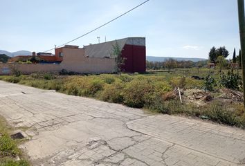 Lote de Terreno en  Xacalco, Los Ahiles, Xacalco, Santiago Tulantepec, Estado De Hidalgo, México