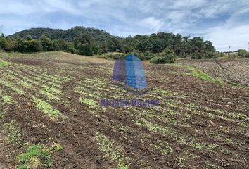 Lote de Terreno en  La Unión, Antioquia, Colombia