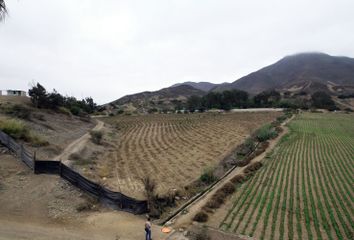 Terreno en  Pachacamac - Lurin - Lima - Peru, Lurín, Perú