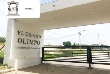 Lote de Terreno en  Calle 3 N, Carmen De Apicalá, Tolima, Col